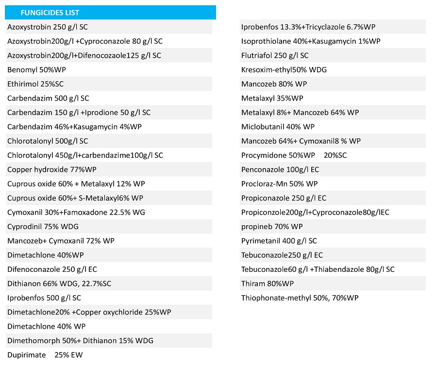 Product List-2.jpg